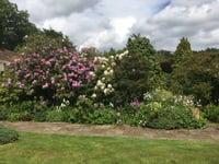 Coast path walk inspires RNLI garden opening