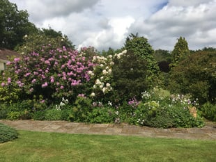Coast path walk inspires RNLI garden opening