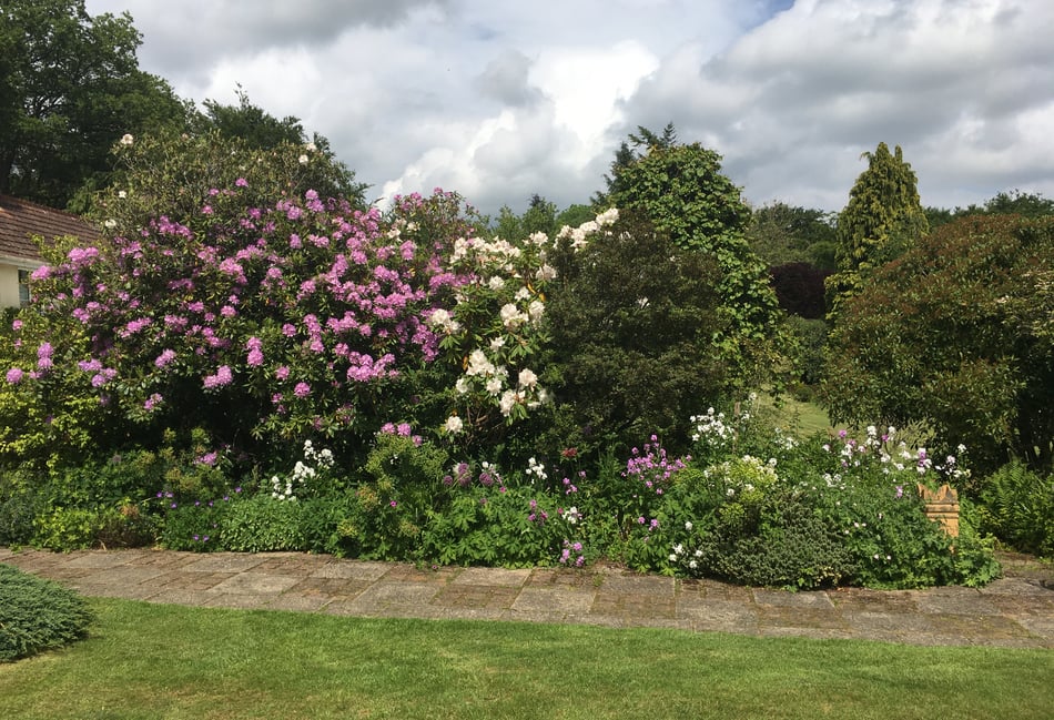 Coast path walk inspires RNLI garden opening
