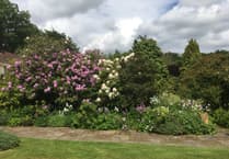 Hartwood House open garden to boost lifeboat charity after couple's coast path walk