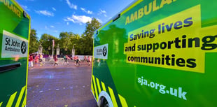 Timely advice on anaphylaxis as Somerset gets summer ready