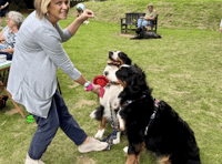 Town's family dog show returns for second year