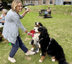 Town's family dog show returns for second year