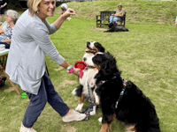 Town's family dog show returns for second year