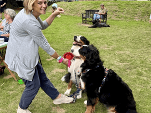 Town's family dog show returns for second year