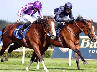 Veteran jockey Ed comes out of retirement to win 