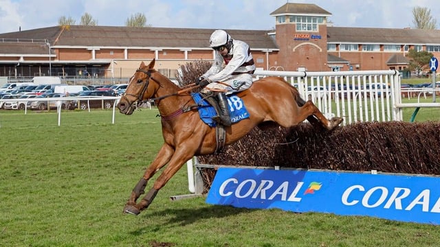 Kap Vert ridden by Sean Houlihan