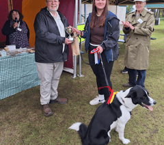 Dog show success despite the rain