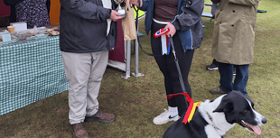Dog show success despite the rain