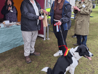 Dog show success despite the rain