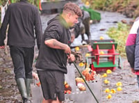 Hundreds of fund-raising ducks taking to river
