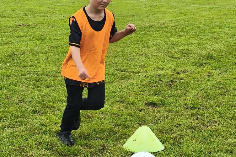 Oscar goes for the ball. PHOTO: Sue Mitchinson