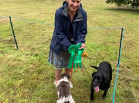 Dogs to be on their best behaviour for village show