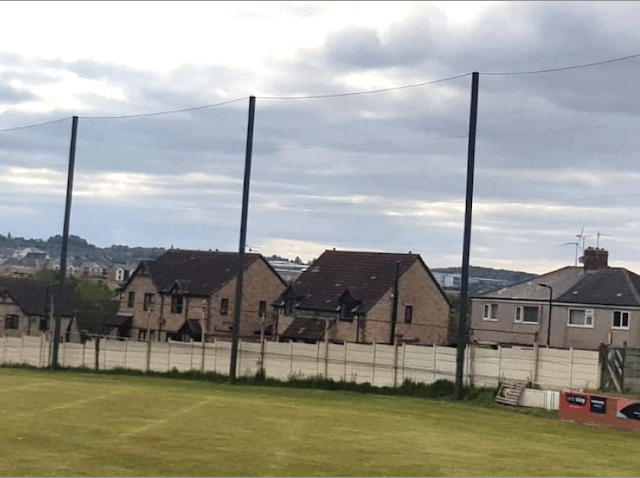 Owzat! Taller nets to catch cricket balls