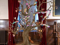 Living tree sculpture takes root in castle