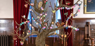 Living tree sculpture takes root in castle