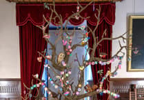 National Trust marks Dunster Castle 50th anniversary with willow tree work of art