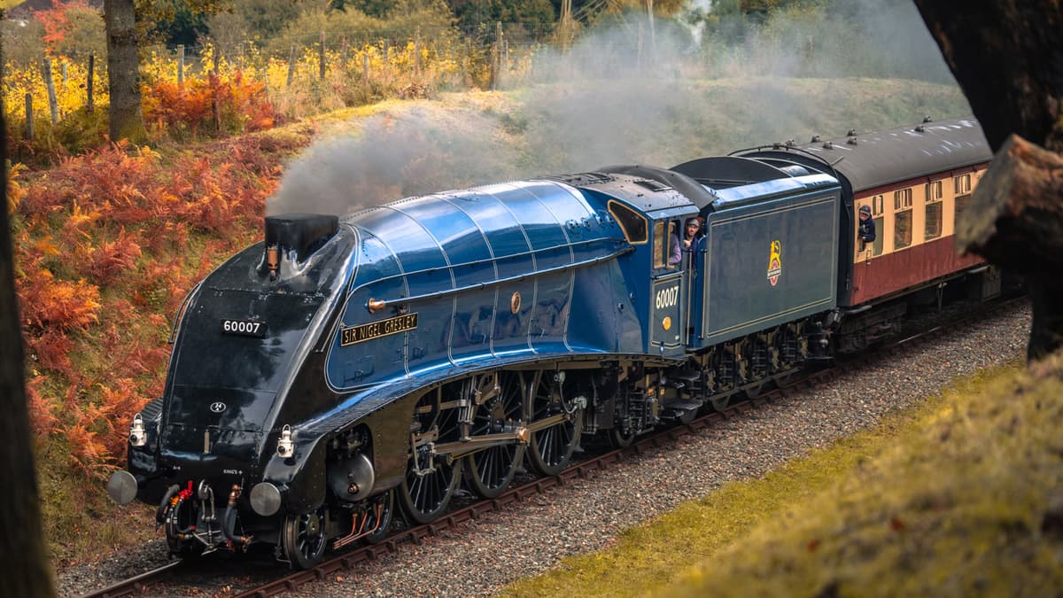 Record forecasted temperatures see West Somerset Railway halt trains for three days
