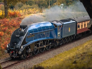 Steam trains suspended during heatwave