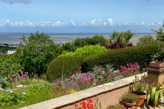 One of ten glorious gardens included for viewing in the Watchet Open Garden weekend.