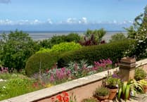 Private gardens open during Watchet Open Garden Weekend