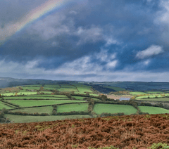 Green spaces group wins award for 'loving countryside'