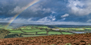 Green spaces group wins award for 'loving countryside'