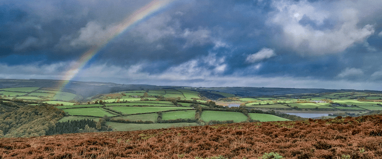 Stowey Green Spaces Group has won a CPRE award for 'loving the countryside'.