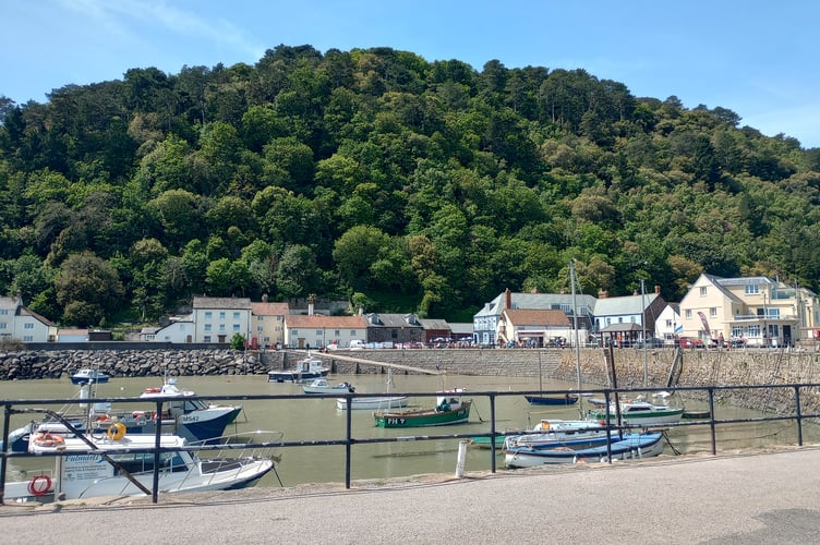 Minehead Harbour on a sunny Bank Holiday weekend. PHOTO: Fiona Haigh 