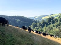 New fund could boost Exmoor wildlife