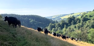 New fund could boost Exmoor wildlife