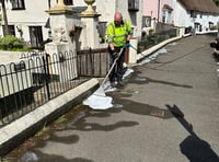 Council continues with controversial weed killer