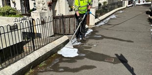 Council continues with controversial weed killer