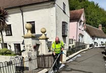 Minehead councillors lobbied on glyphosate weed killer but agree to carry on