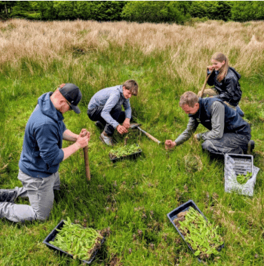 An open day was held at the national park's tree nursery.