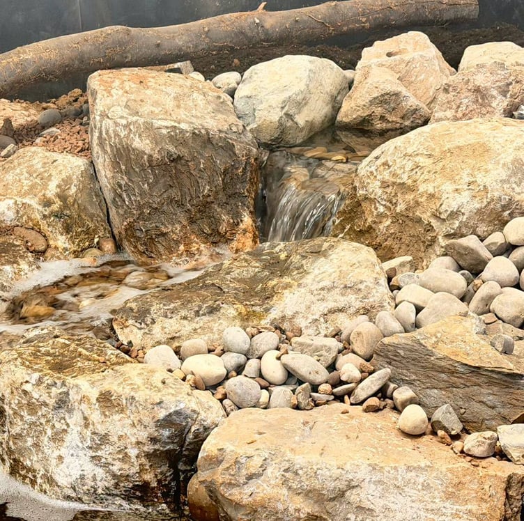 The new crocodile pool in West Somerset's Tropiquaria Zoo.