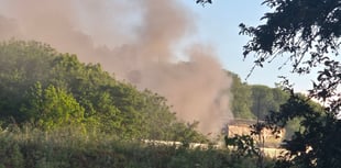 Paper mill blaze 'was arson'