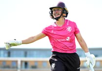 Luff leads Somerset to comfortable win