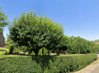 Open gardens in memory of village stalwart