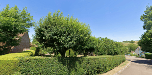 Open gardens in memory of village stalwart