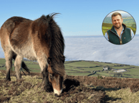 Thousands sign up to support ponies' future