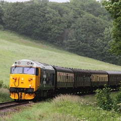 Steam trains suspended amid wildfire fears