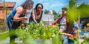 Creating green spaces for communities on the Grid