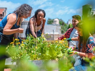 Creating green spaces for communities on the Grid