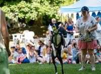 Town celebrates four-legged friends