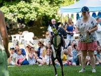 Town celebrates four-legged friends