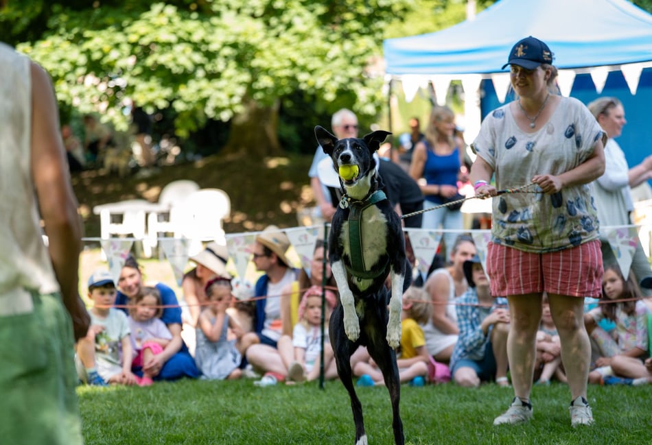 Town celebrates four-legged friends