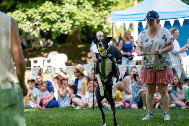 Dulverton Dog Show attracted four-legged friends and visitors from the local community to Exmoor Lawns on May 24.