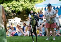 Large number of entries for second Dulverton dog show despite heatwave