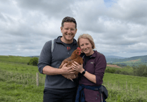 Retired teacher Sonia takes on Exmoor Perambulation for charity re-homing hens